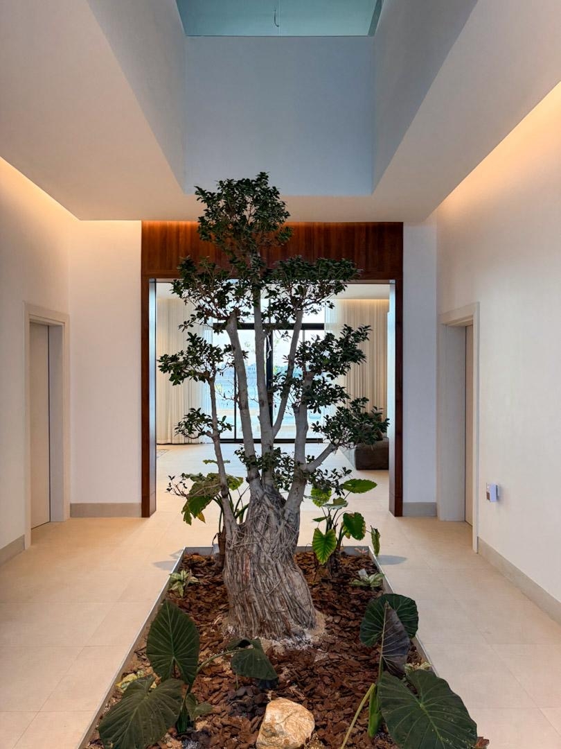 BONSAI CHALET